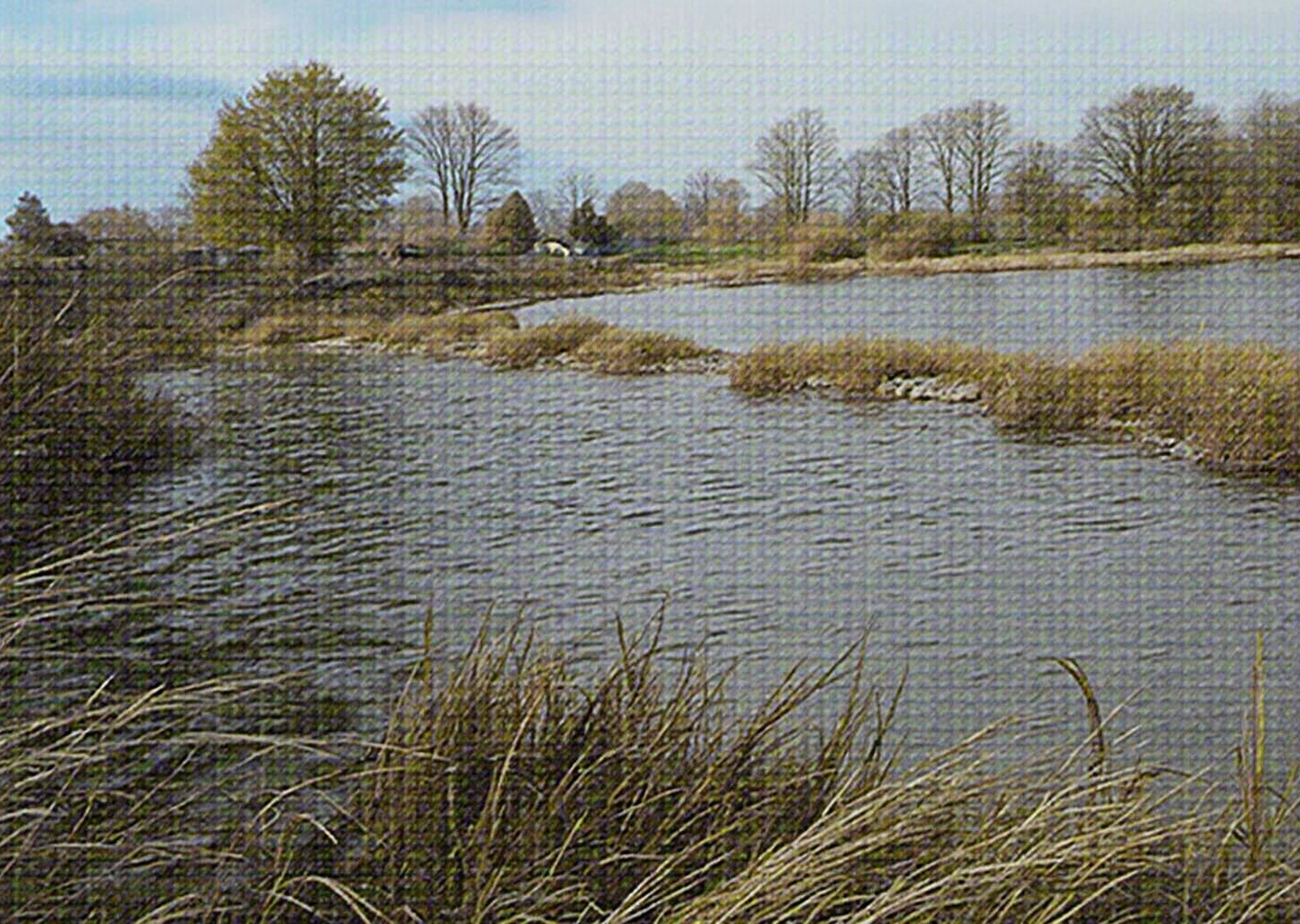 Capesterre belle eau : commune incontournable (Basse-Terre)