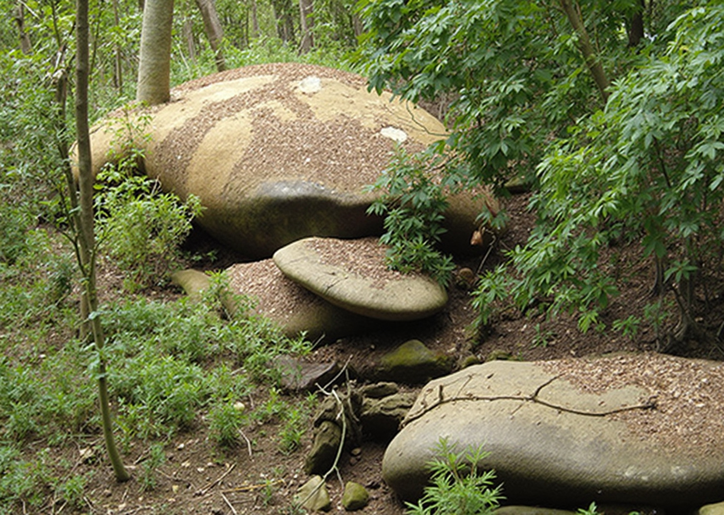 Parc national de la Guadeloupe : tout savoir sur ce lieu emblématique !