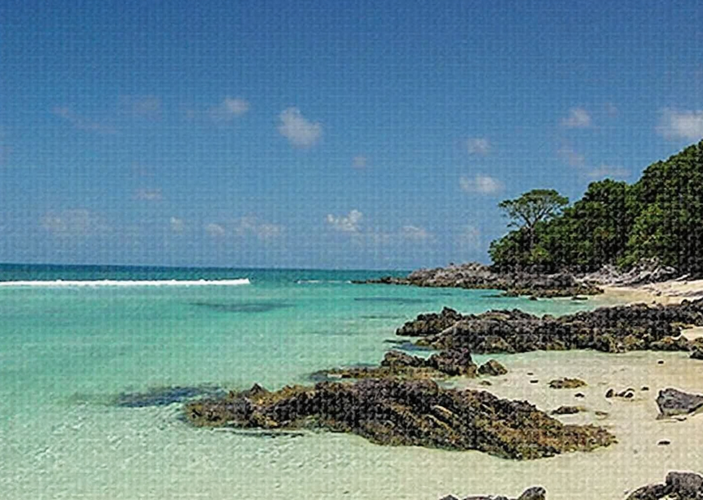 Plage Guadeloupe : quelles sont les plus belles plages de l'île ?