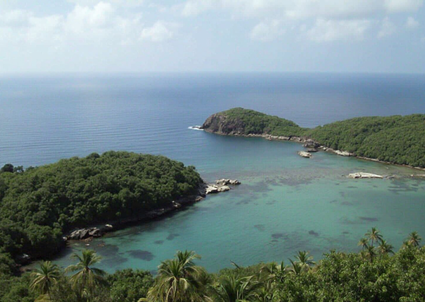 Reserve Cousteau Guadeloupe : la beauté naturelle de l'île