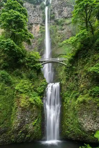 Cascade et nature à Capesterre-Belle-Eau